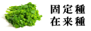 固定種・在来種