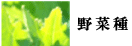 野菜 種（たね）