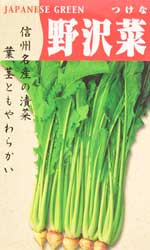 野沢菜