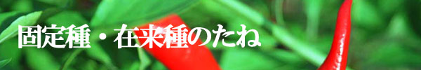 固定種・在来種のたね