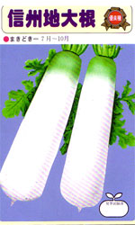 信州地大根