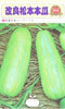 改良松本本瓜
