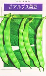 アルプス菜豆