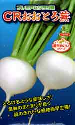 CRおおとろ蕪