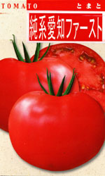 純系愛知ファースト