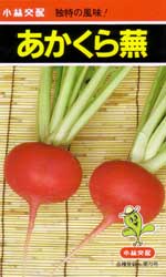 あかくら蕪