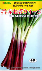 赤ねぎクイーン