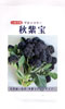 秋紫宝