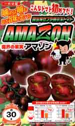 AMAZON（アマゾン）