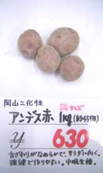 岡山二化性　アンデス赤