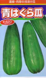 青はぐら瓜