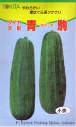 青駒（あおこま）