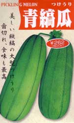 青縞瓜