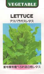 アスパラガスレタス
