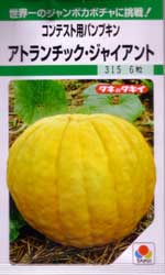 アトランチック・ジャイアント