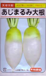 あじまるみ大根