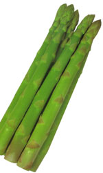 アスパラガス苗