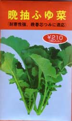 晩抽ふゆ菜