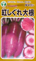 紅しぐれ大根