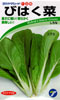 びはく菜