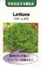 バターレタス