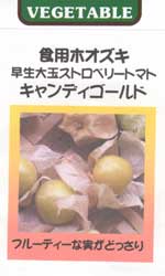 早生大玉ストロベリートマト　キャンディゴールド
