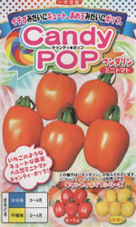 CandyPop（キャンディポップ）　マンダリン