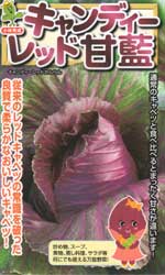 キャンディーレッド