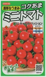 キャロルパッション