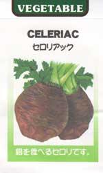 セロリアック