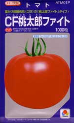 CF桃太郎ファイト