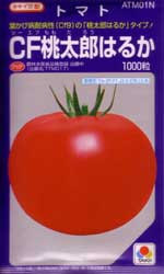 CF桃太郎はるか