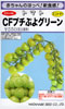 CFプチぷよ　グリーン