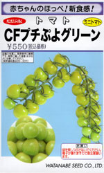 CFプチぷよ　グリーン