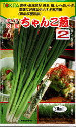 ちゃんこ葱2