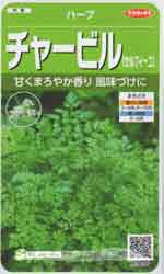 チャービル（セルフィーユ）