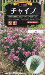 チャイブ