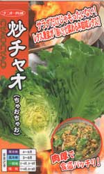 炒チャオ（ちゃおちゃお）