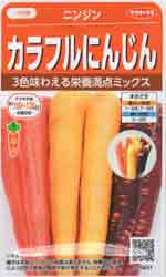 カラフルにんじん