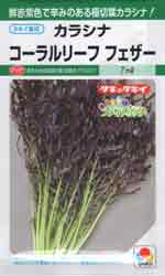 コーラルリーフ　フェザー