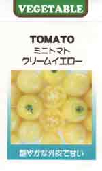 クリームイエロー