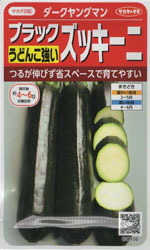 ダークヤングマン