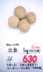 岡山二化性　出島