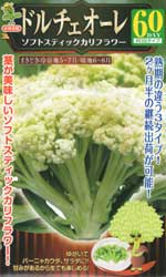 ドルチェオーレ60