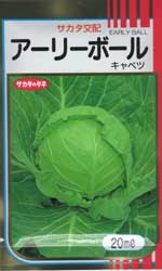 アーリーボール