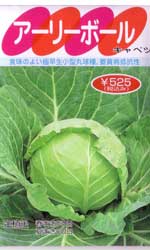 アーリーボール