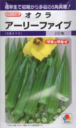 アーリーファイブ