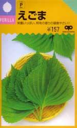 えごま（白種）