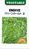 エンダイブ　グリーンカールド2