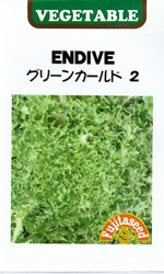 エンダイブ　グリーンカールド2